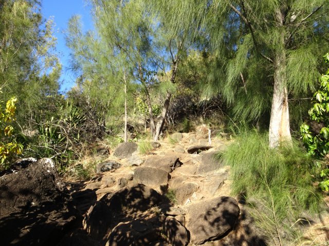 Forte pente empierrée sous les filaos
