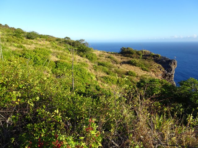 On devine le sentier des cordistes dans la savane en face
