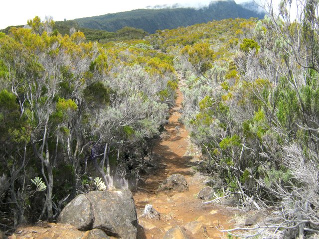 Une portion sans trop de cailloux durant la montée au gîte