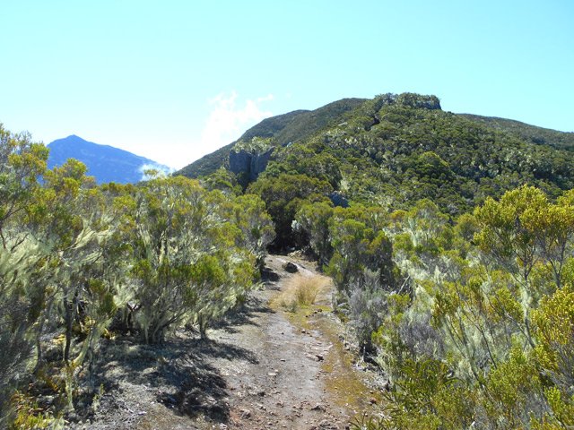 Le sentier à l'approche de la grande échelle