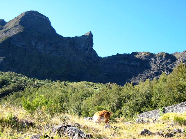 Le Nez de Bœuf depuis Marla