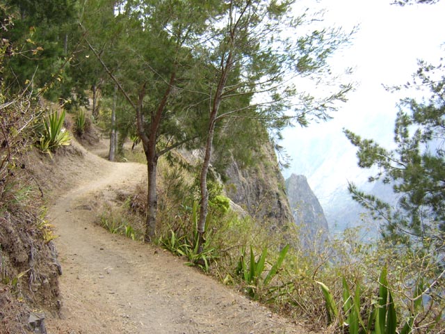 L'agréable sentier qui monte de Roche Plate à la Brèche