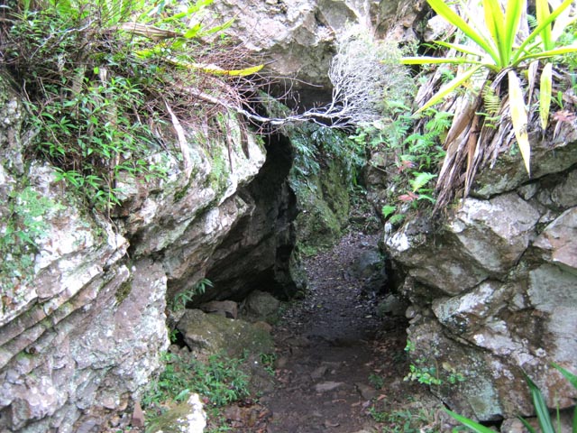 Passage étroit sur le GR en direction de la Cascade de Bras Rouge