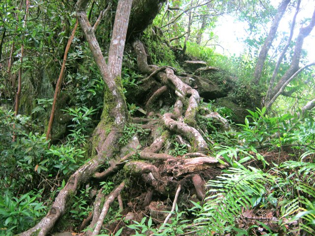 Passages délicats par temps humide