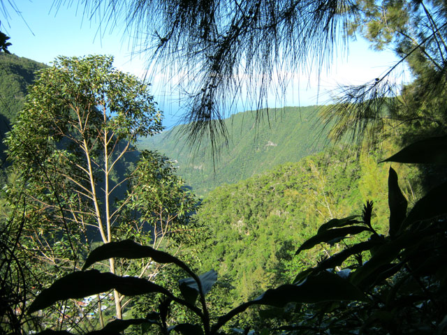Très peu de fenêtres dans la montée vers Grand Coude
