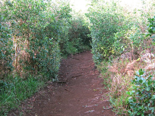 La terre rouge est souvent glissante par temps de pluie