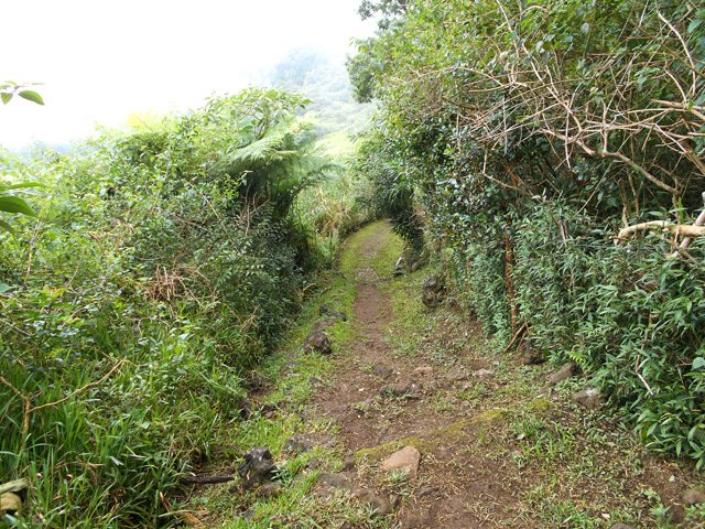 Les derniers hectomètres avant de rencontrer la route