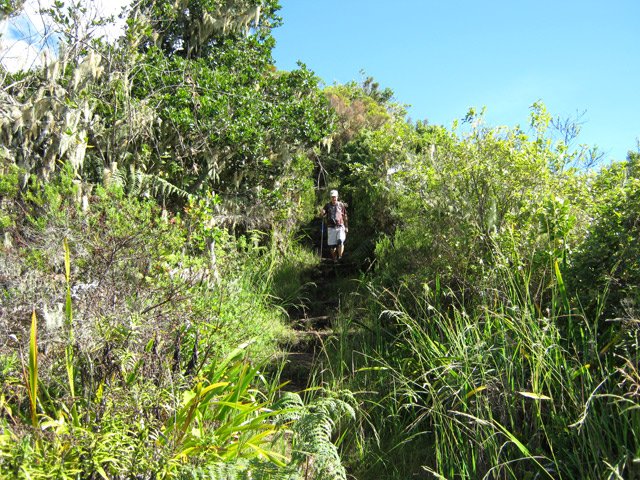 Beaucoup de hautes marches dans la descente