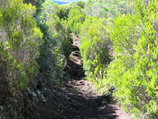 Et encore des parties glissantes dans les branles verts