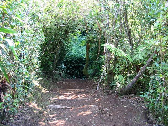 Le sentier, bien entretenu, est très souvent renforcé de marches en bois