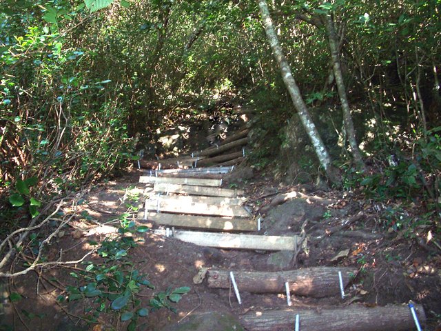 La montée de la cascade est très raide mais des marches aident