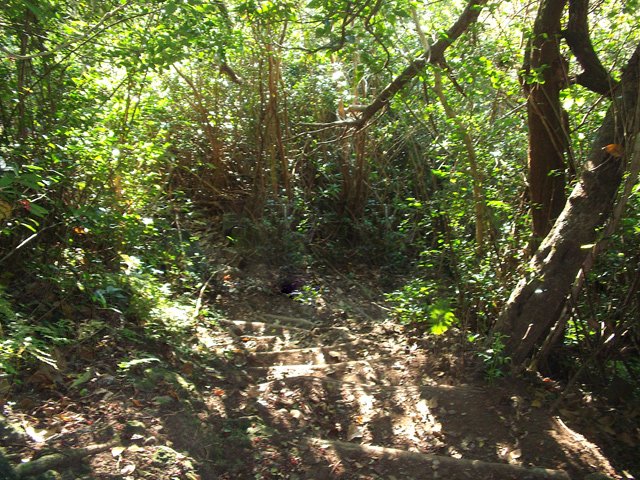 Nouveaux lacets serrés