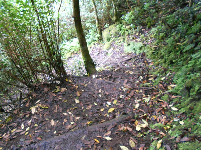 Très forte descente en direction du boulodrome de la Plaine des Grègues