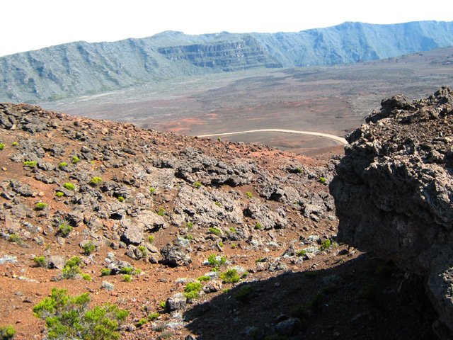 Rien ne pousse ou presque