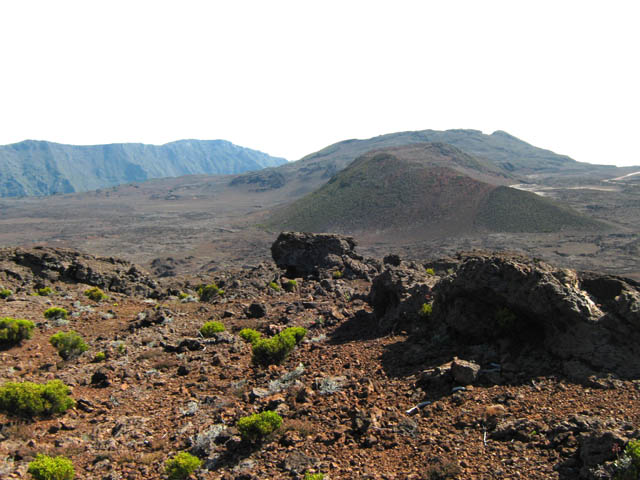 Le sommet du Piton et vue sur le Demi-Piton