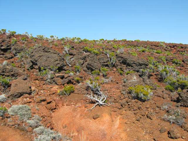 Le cheminement n'est pas toujours facile, contrairement à ce que l'on voit de loin