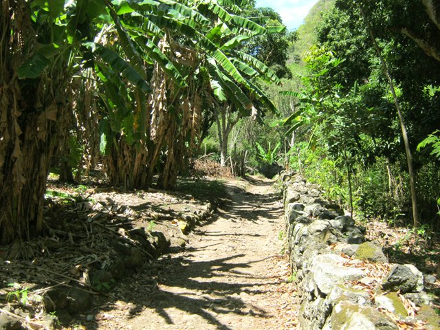 Sentier bordé de murettes à l'Îlet Crescent