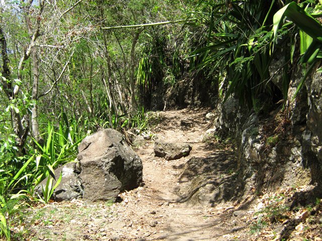 Quelques grosses pierres peuvent gêner dans la descente