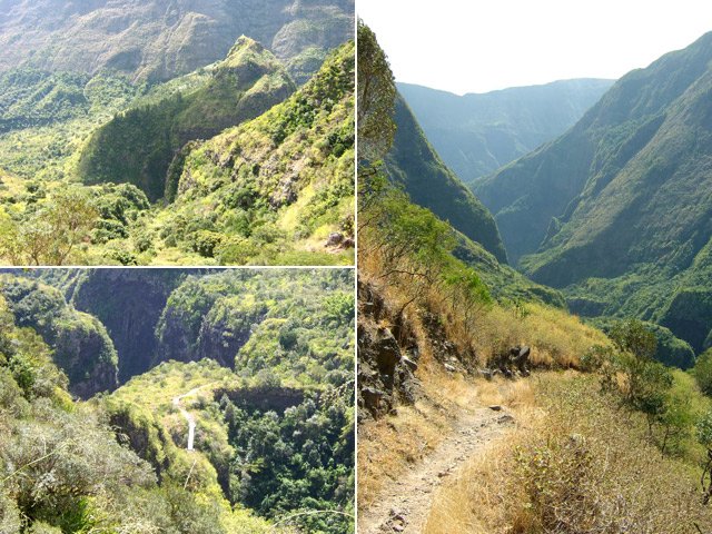 Le sentier du Piton Tortue aux alentours de la passerelle sur le Bras d'Oussy