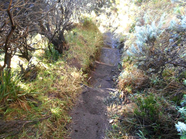 Sentier étroit mais de bonne qualité