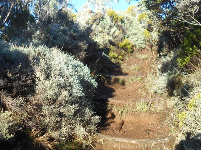 A partir du Piton de Partage, la pente devient de plus en plus forte