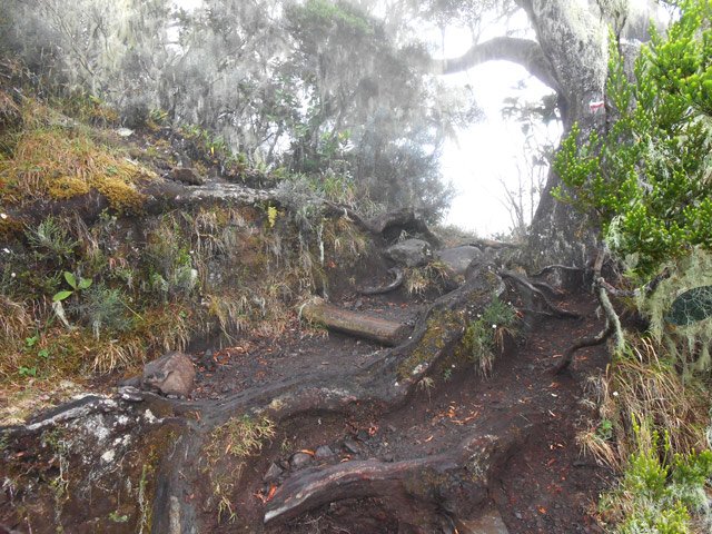 La brume matinale n'est pas encore dissipée