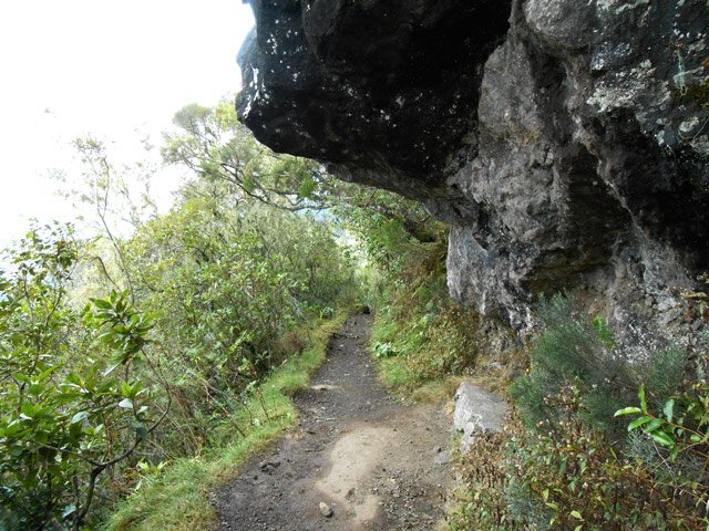 Peu de passages rocheux dans la montée