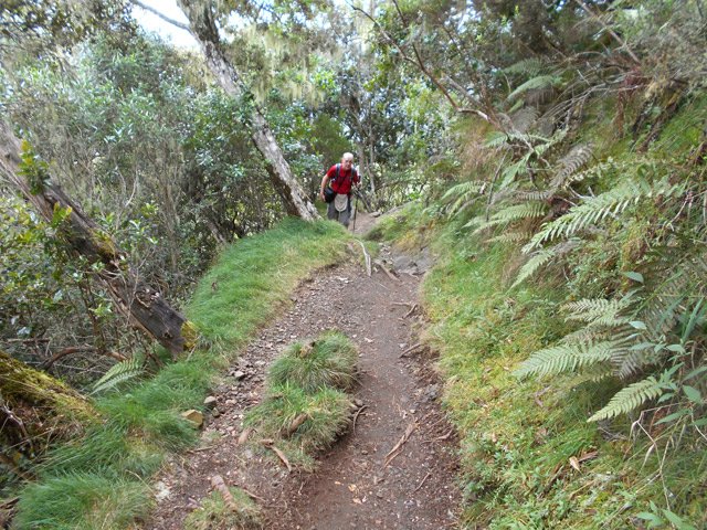 Portion plate et agréable