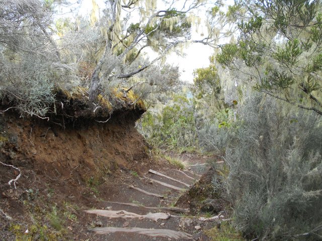 Forte montée dans les branles gris