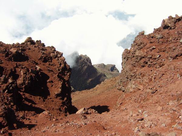 Difficile de trouver de la végétation à plus de 3000 m