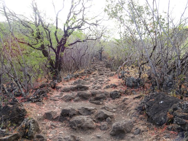 Le sentier, large et rectiligne, est très encombré de roches