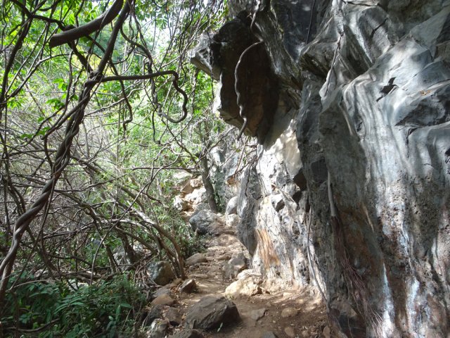 Sentier rocheux bien aménagé le long d'une falaise basaltique