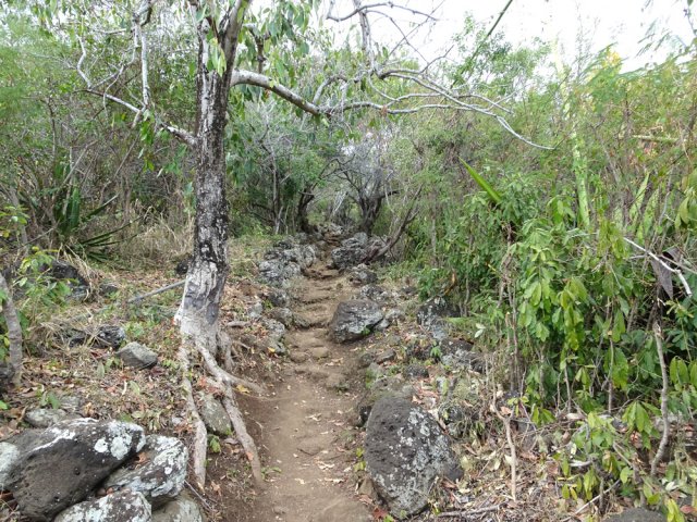 Le sentier Cheval bordé par ses murettes d'origine