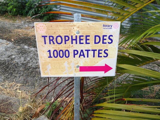 Panneau indiquant la direction du sentier de retour