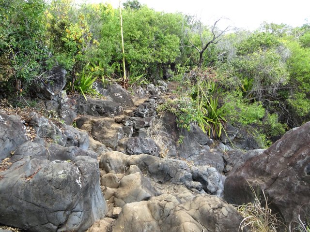 Passage du gué sur la ravine du Bassin Vital