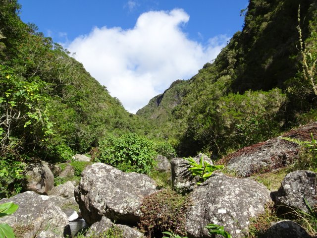 Là également, repérer les rectangles de peinture blanche