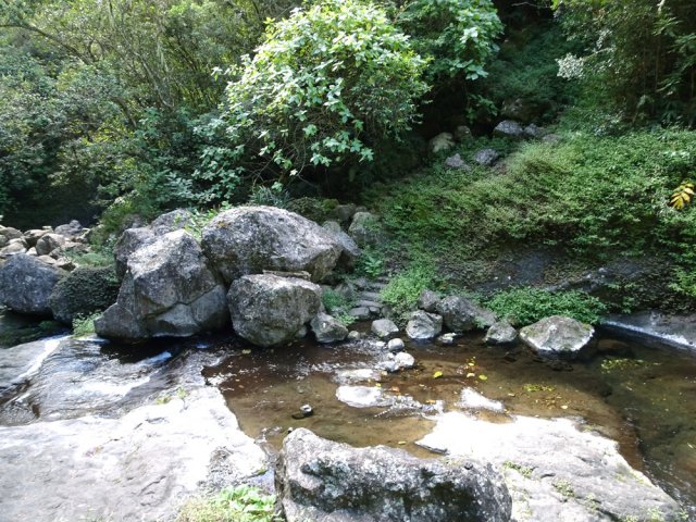 Un gué suivi d'un escalier dans les jouvences