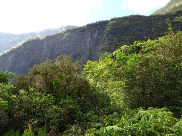 La falaise qui a nécessité d'importantes installations de passerelles dans le vide