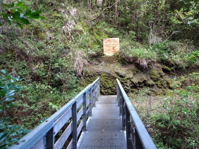 Franchissement de la passerelle sur le Ravine de la Marianne