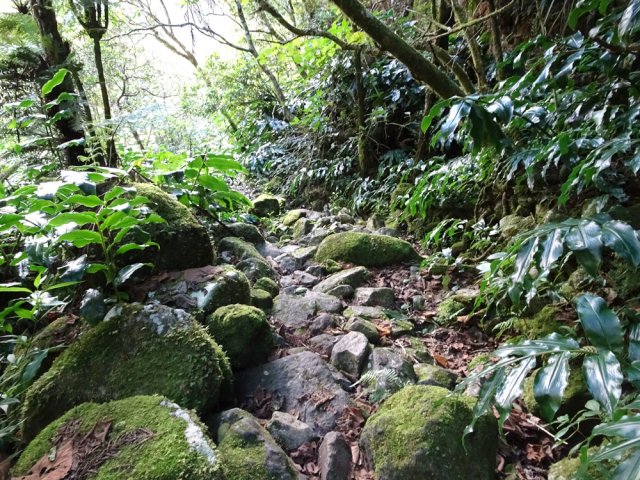 Le sentier emprunte des tronçons très pierreux