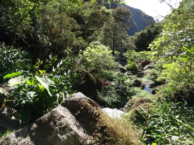Une idée de la vallée très rocheuse