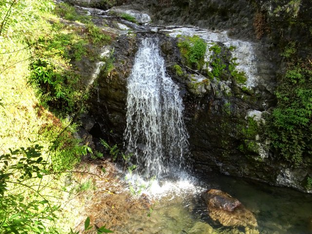Le Bras Bémale offre quelques petites chutes agréables