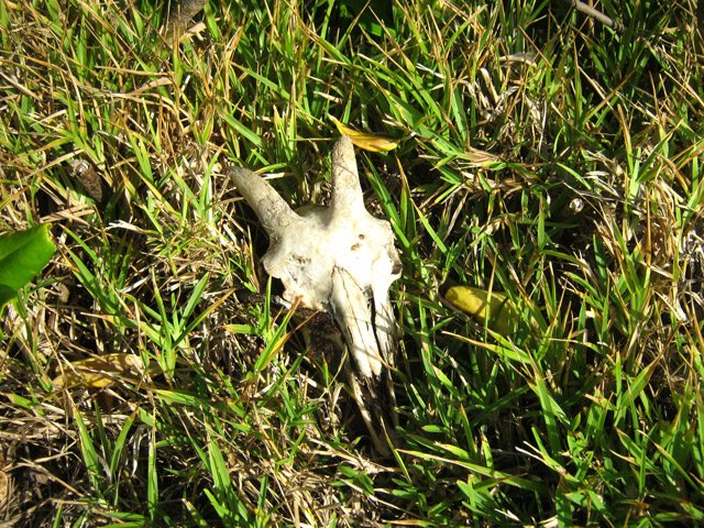 On trouve de tout en bordure de mer