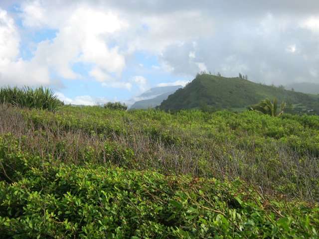 Le Piton Lambert, de l'autre côté du village
