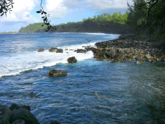 Le canal bichique à l'estuaire de la Rivière Langevin
