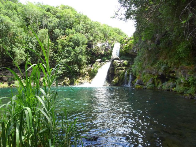 Proche de la mer, la cascade Jacqueline et son grand bassin