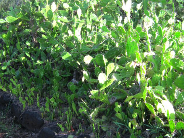 Raccourci entre deux pistes interdit !!