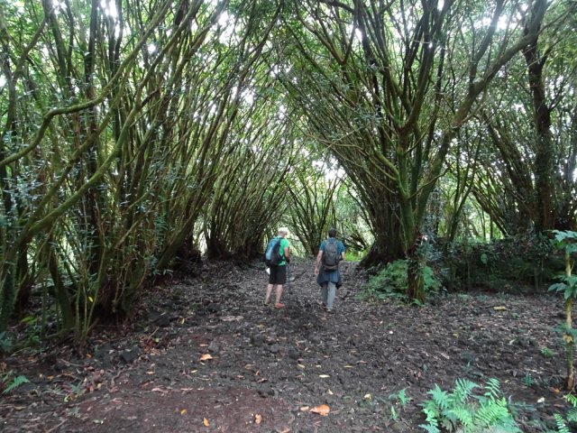 Les jamrosats ont pris possession des abords de la piste
