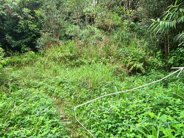 Ne pas manquer le sentier partant à angle droit avant les cultures