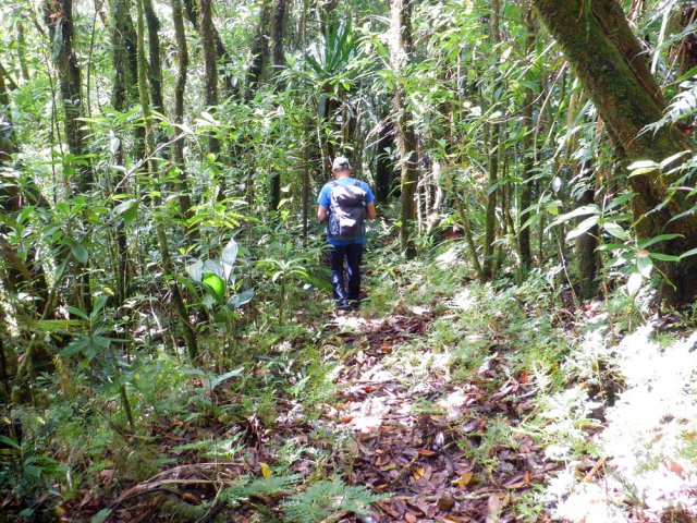 Certaines portions de la piste sont encore bien marquées